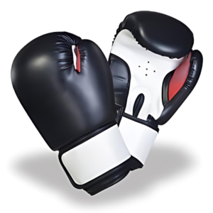 Animo Apex Pro Training Gloves