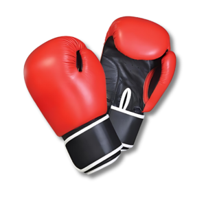 Animo Sports Heritage Series Contrast Sparring Gloves - Red & Black