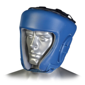 Boxing & MMA Head Guard